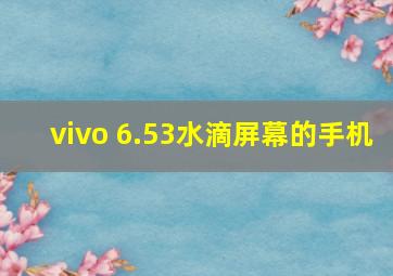 vivo 6.53水滴屏幕的手机